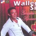 Wallee Silva