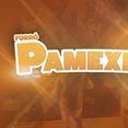 Forró Pamexer