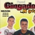 FORRÓ GINGADO NOVO