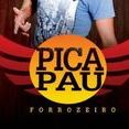 PICA PAU FORROZEIRO