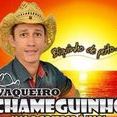 vaqueiro chameguinho