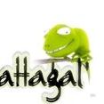Mattagal'