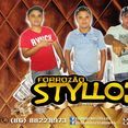 FORROZÃO STYLLO 3
