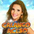 calango aceso
