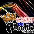 principes da pisadinha