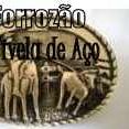 Forrozão Fivela de Aço