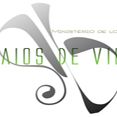 Ministério de Louvor Raios de Vida