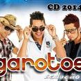 GAROTOS SEDUÇÃO CD 2014