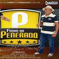 Forró do Penerado Oficial