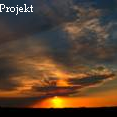 Vinew Projekt