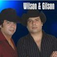 wilson e gilson