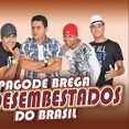 Pagode Brega Os Desembestados do Br