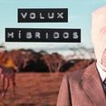 Volux