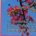 FORRÓ FLOR DE CAMPINNA