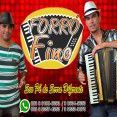 Forró Fino
