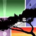 Neander
