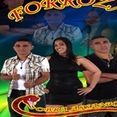 Forrozao Cobra Assanhada