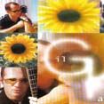 2º - Girassóis