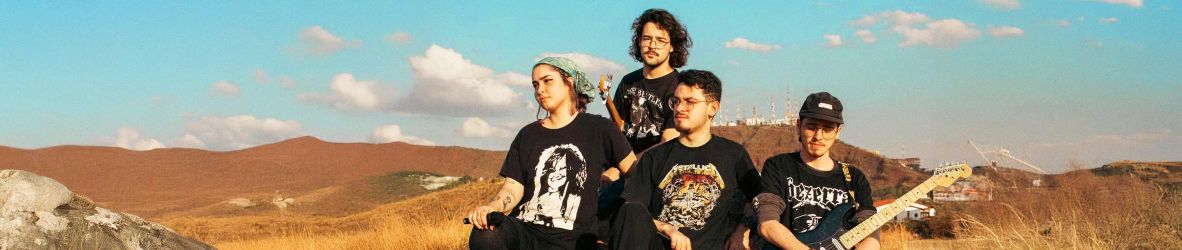 Clique para acessar o link