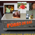 Forro de Baú