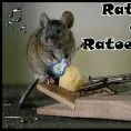 Ratinho e Ratoeira
