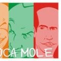 Boca Mole