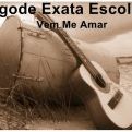 Grupo Exata Escolha