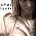 Sanctus Ignis