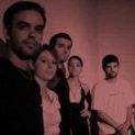 the Freeks