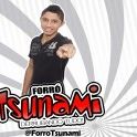 Forro Tsunami - Derrubando Tudo