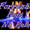 Forrozão Fogo na Pele