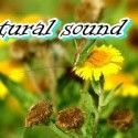 natural sound
