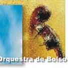 Lipe Portinho & Orquestra de Bolso