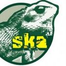 Skamaleões