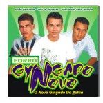 Forró Gyngado novo