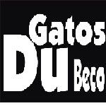 Gatos du  Beco