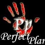 Perfect Plan