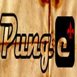 Punge