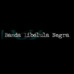 Jader Garcia