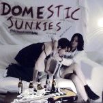Domestic Junkies