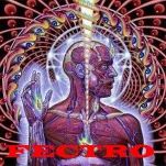Fectro