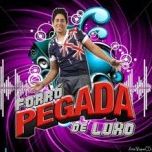 Banda Forró Pegada De Luxo