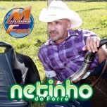 netinho do forró
