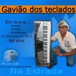 gavião