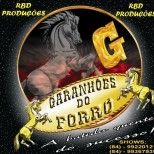 Garanhões do Forró
