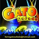 Forró GATO SAFADO