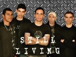 Foto de STILL LIVING