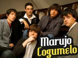 Foto de Marujo Cogumelo