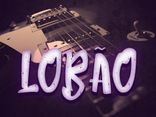 Foto de lobão