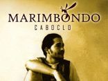 Foto de Marimbondo-caboclo